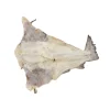 Bacalhau Graúdo 1ª Islândia