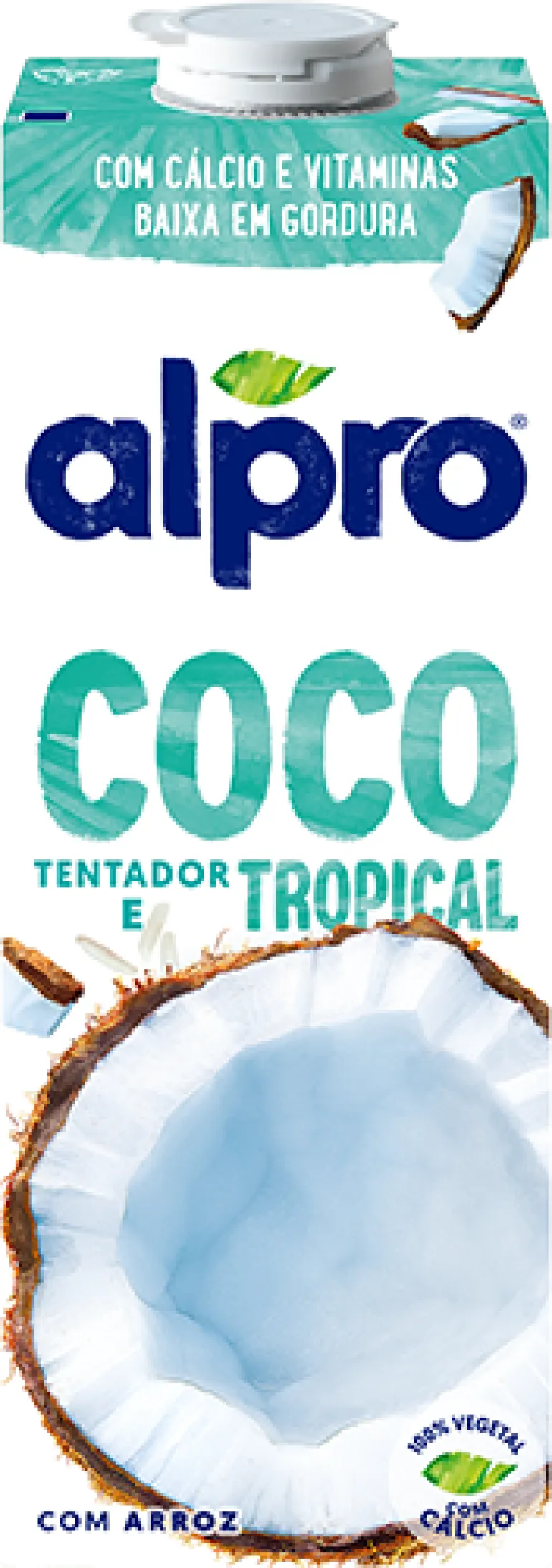 Bebida Vegetal de Arroz e Coco