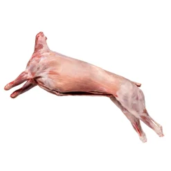 Borrrego