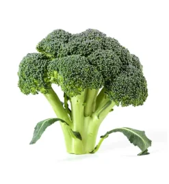 Brócolos