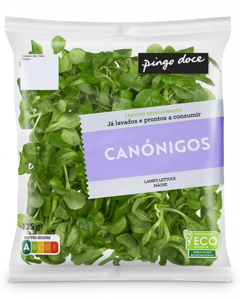 Canónigos