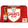 Cerveja com Álcool Pack 24