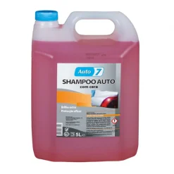 Champô para Carro