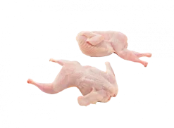 Codornizes
