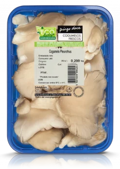 Cogumelo Pleurotus