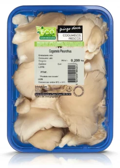 Cogumelo Pleurotus