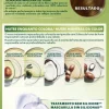 Coloração Nutrisse Dourado 4.3