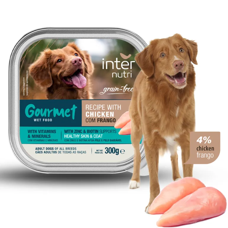Comida Húmida para Cão com Frango