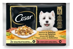 Comida Húmida para Cão Seleção de Carnes em Gelatina