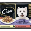 Comida Húmida para Cão Sénior +10 com Carnes em Gelatina