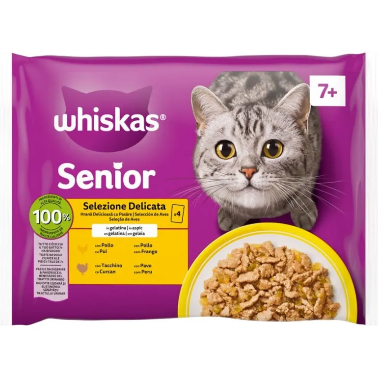 Comida Húmida para Gato Adulto Aves em Gelatina