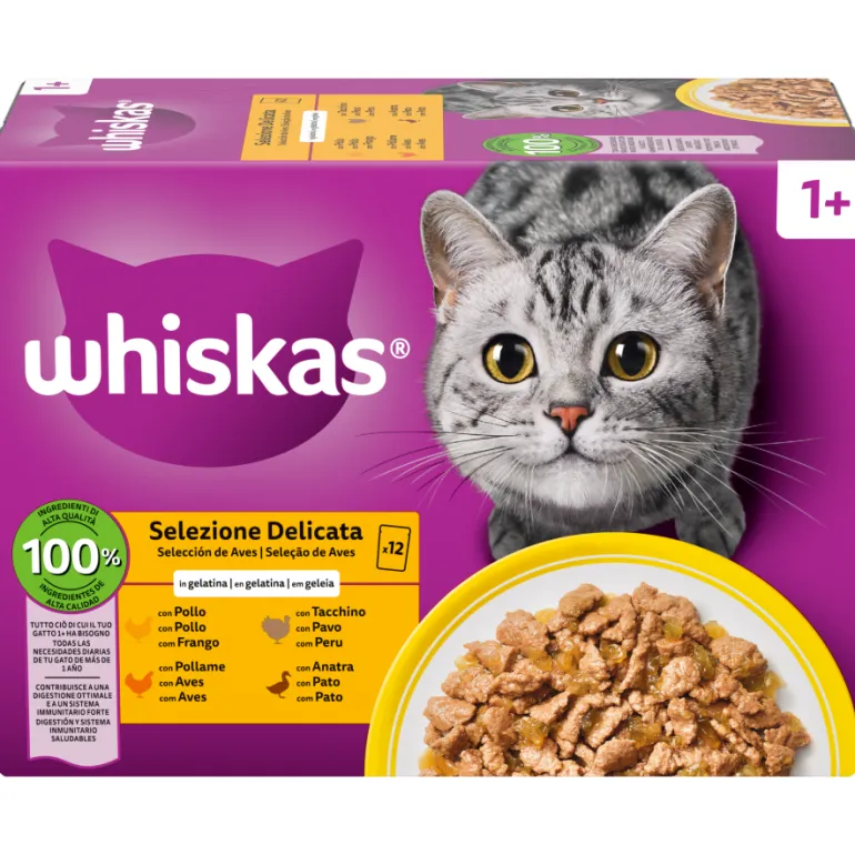 Comida Húmida para Gato Adulto Aves em Gelatina