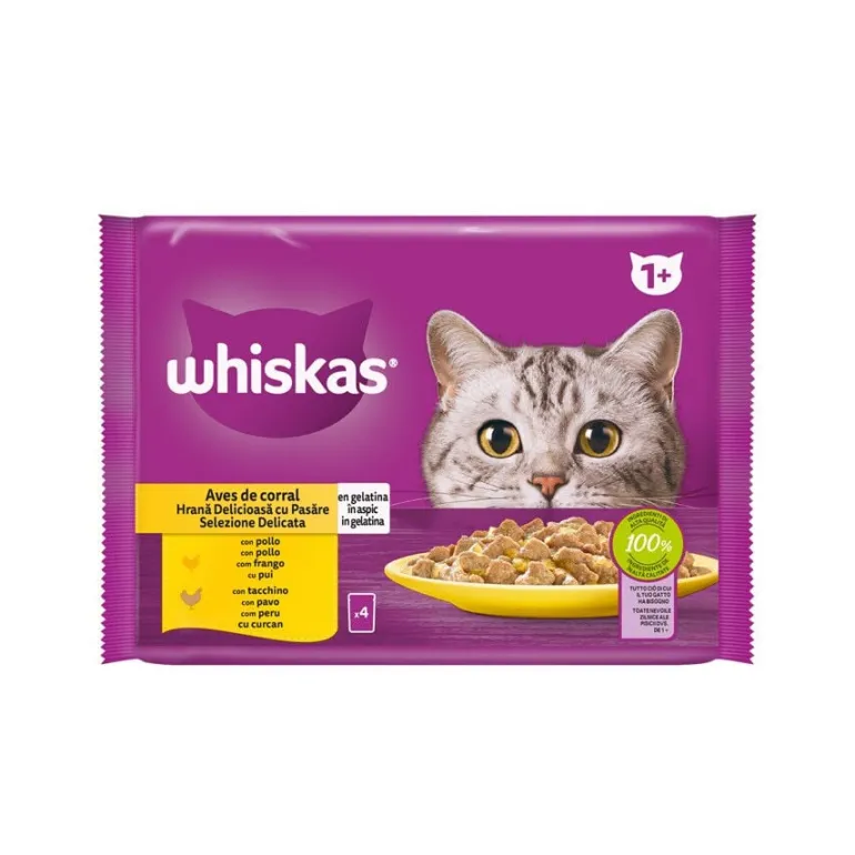 Comida Húmida para Gato Adulto com Frango e Peru