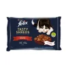 Comida Húmida para Gato Tasty Shreds Vaca e Frango