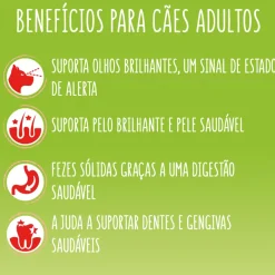 Comida Seca para Cão Active com Vaca