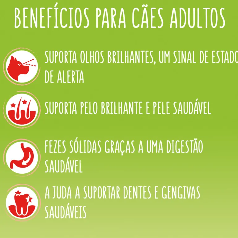 Comida Seca para Cão Active com Vaca