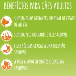 Comida Seca para Cão Mini com Frango