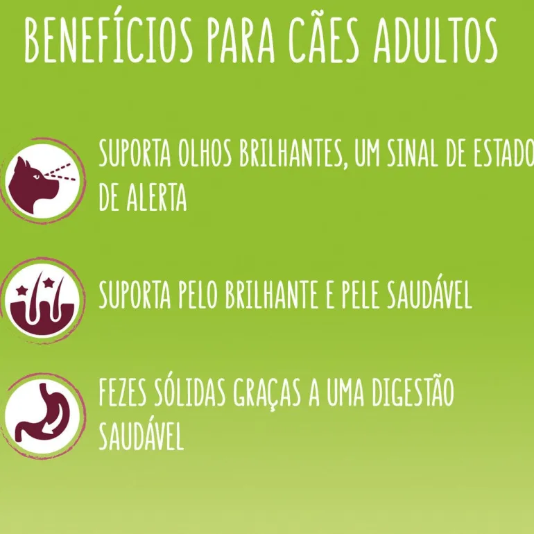Comida Seca para Cão Mini Nutrisoft com Vaca
