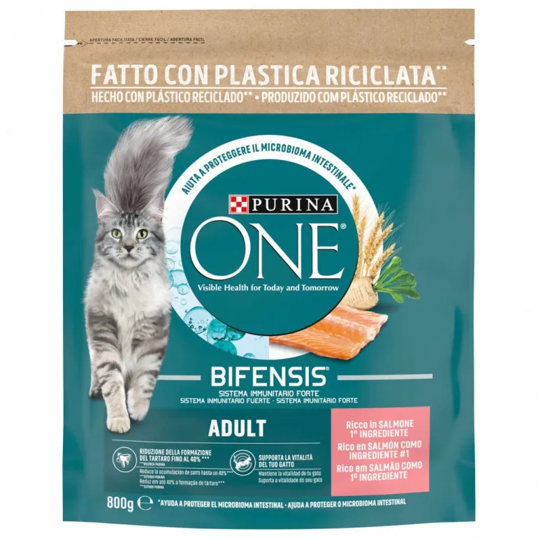 Comida Seca para Gato Adulto com Salmão