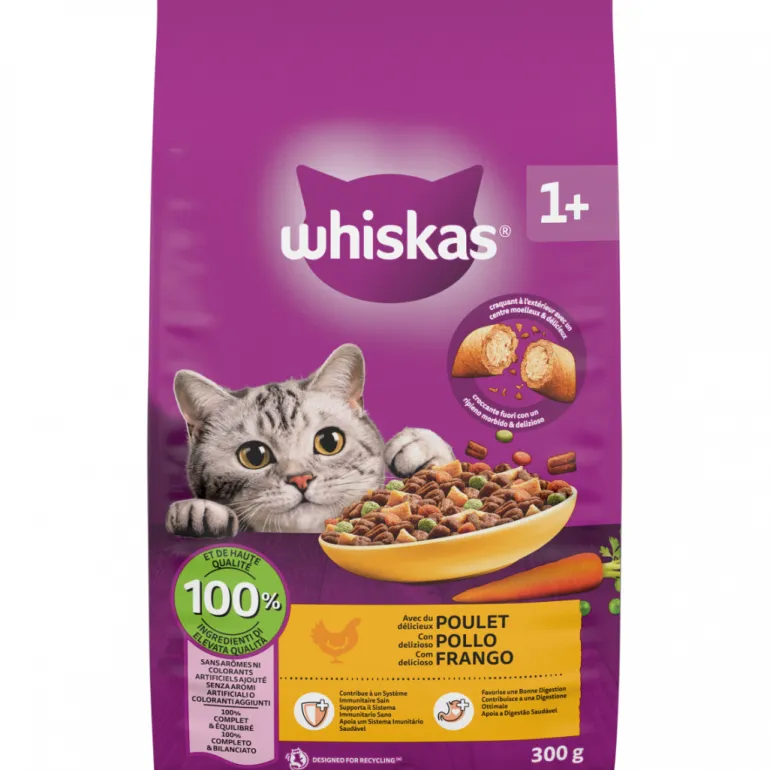 Comida Seca para Gato com Frango