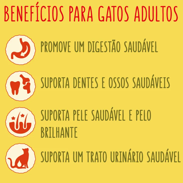 Comida Seca para Gato com Salmão