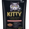 Comida Seca para Gato com Salmão e Arroz