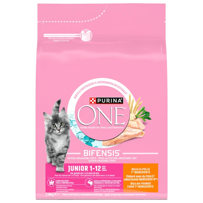 Comida Seca para Gato Júnior com Frango