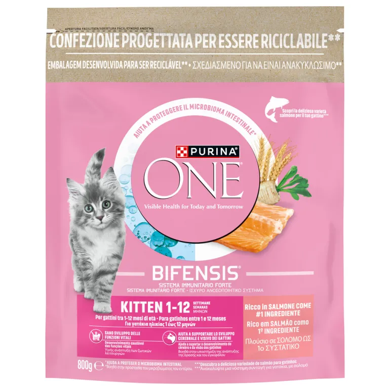 Comida Seca para Gato Júnior com Salmão