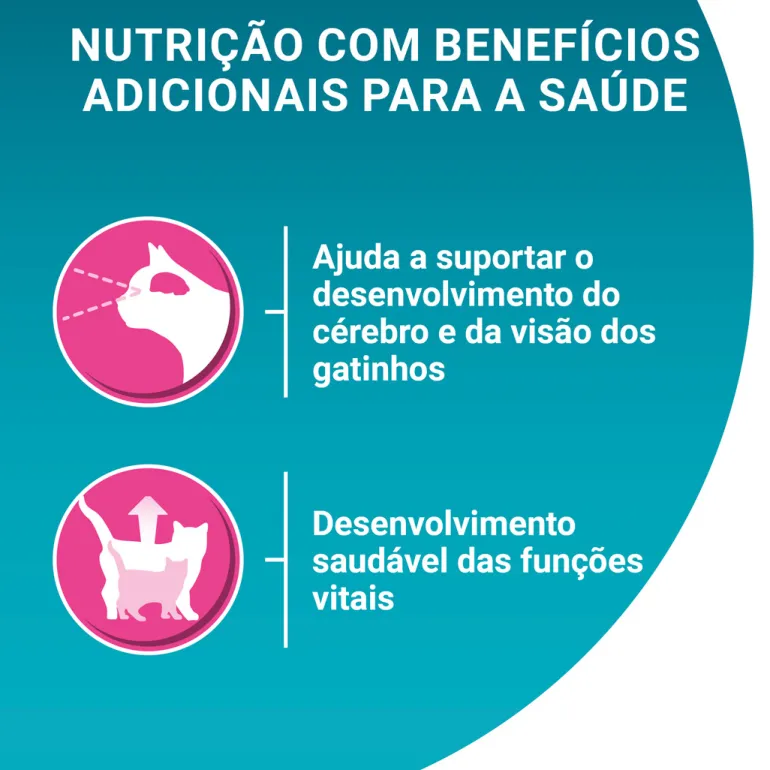 Comida Seca para Gato Júnior com Salmão
