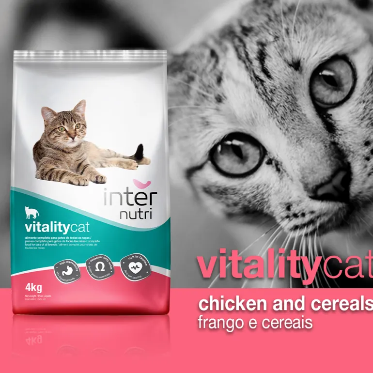 Comida Seca para Gato Vitalitycat