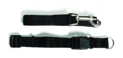 Conjunto de Trela com Coleira 25-43