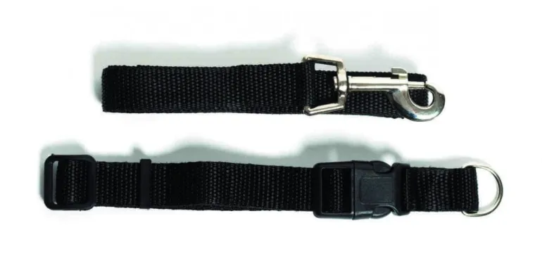 Conjunto de Trela com Coleira 25-43
