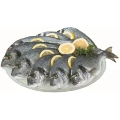 Dourada Fresca até 600g