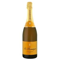 Espumante Bruto Extra Reserva São Domingos