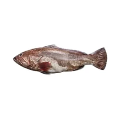 Garoupa Fresca