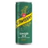 Ginger Ale
