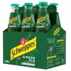 Ginger Ale Pack 6