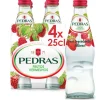 Água com Gás Frutos Vermelhos Pack 4