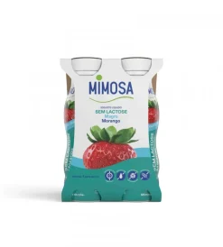Iogurte Líquido Magro sem Lactose Morango Pack 4