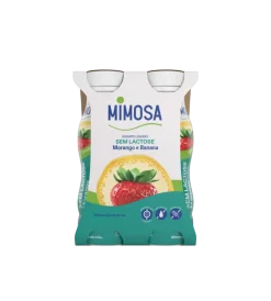 Iogurte Líquido sem Lactose Banana e Morango Pack 4