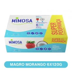 Iogurte Magro Morango / Coco Pack 6