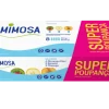 Iogurte Magro 4 Morango e Kiwi, 2 Pêssego e 2 Banana Pack 8