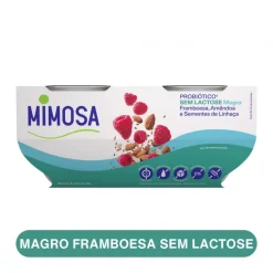 Iogurte Magro Probiótico sem Lactose Framboesa, Amêndoa e Linhaça