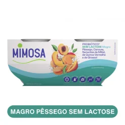 Iogurte Magro Probiótico sem Lactose Pêssego, Cenoura e Sementes