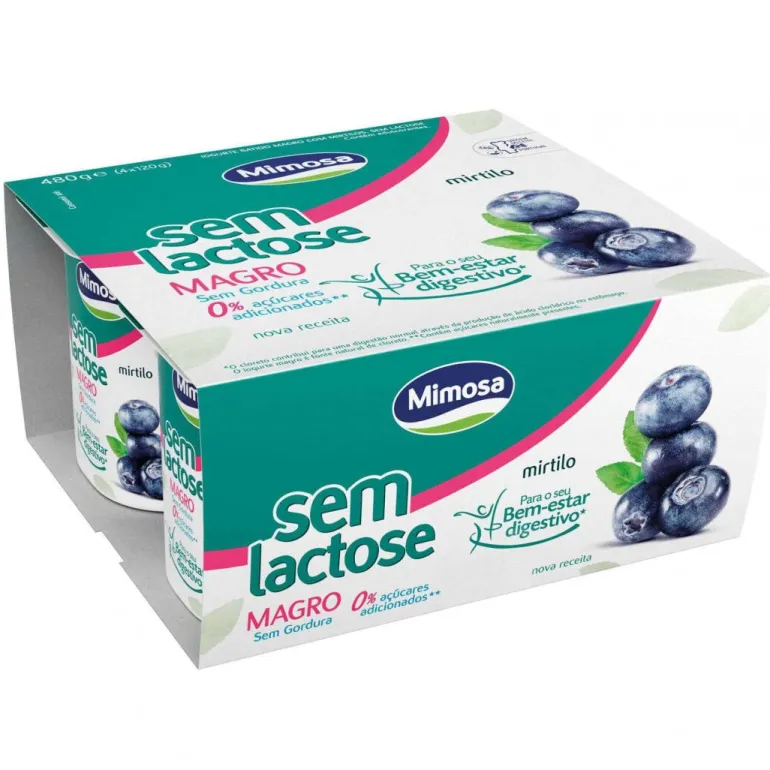 Iogurte Magro sem Lactose Mirtilo Pack 4