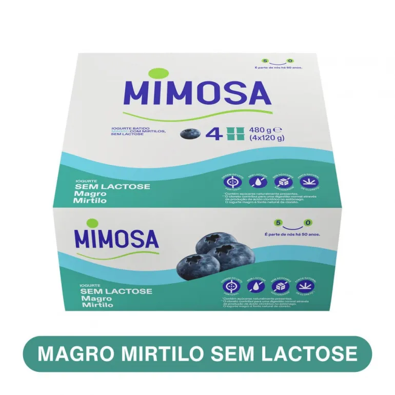 Iogurte Magro sem Lactose Mirtilo Pack 4