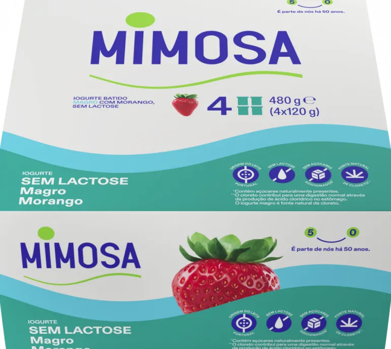 Iogurte Magro sem Lactose Morango Pack 4