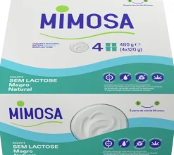 Iogurte Magro sem Lactose Natural Pack 4