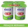 Iogurte Pedaços de Morango Pack 4