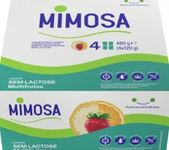 Iogurte sem Lactose Multifrutos Pack 4